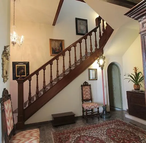 B&B Il Diospero 피렌체